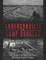 Andersonville and Camp Douglas