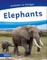 Elephants