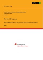 The Great Divergence