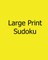Large Print Sudoku