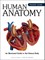 Human Anatomy