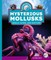 Mysterious Mollusks