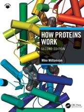 How Proteins Work