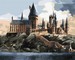 Tapyba pagal skaičius: "HARIS PORETIS" Hogvartas dieną Warner Bros 40x50 dėžutėje