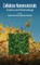 Cellulose Nanomaterials