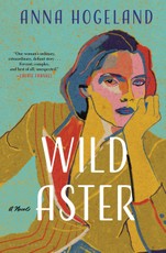 Wild Aster