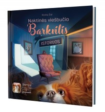 Naktinės viešbučio Barkvilis istorijos