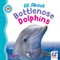 All about Bottlenose Dolphins