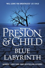 Blue Labyrinth