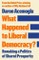 What Happened to Liberal Democracy?