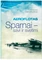 Aeroflotas. Sparnai – savi ir svetimi