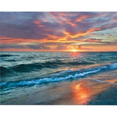 Tapyba pagal skaičius „Pakrantė“, su akriliniais dažais