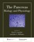 The Pancreas