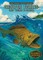 Grouper Fishing: Deep Water in Florida