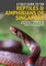 A Field Guide to the Reptiles & Amphibians of Singapore