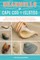Seashells of Cape Cod & the Islands