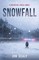 Snowfall