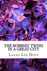 The Bobbsey Twins in a Great City