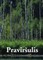 Praviršulis
