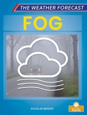 Fog