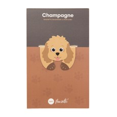 Magnetinis knygos skirtukas „Champagne“