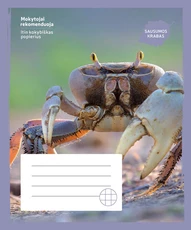 Sąsiuvinis „Sausumos krabas“, 24 lapai, langeliais