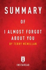 Summary of I Almost Forgot About You