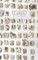 Codex
