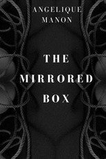 The Mirrored Box