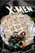 X-Men: Days of Future Past