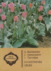 Svogūninės gėlės (1983)