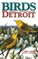 Birds of Detroit