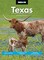 Moon Texas