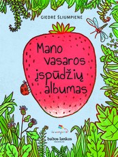 Mano vasaros įspūdžių albumas