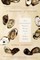 A Geography of Oysters