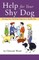 Help for Your Shy Dog