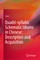 Quadri-Syllabic Schematic Idioms in Chinese: Description and Acquisition