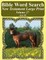 Bible Word Search New Testament Large Print Volume 27