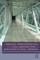 Laing, R: Digital Participation and Collaboration in Archite