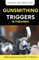 Gunsmithing Trigger in Firearms