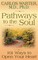 Pathways to the Soul