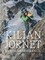 Kilian Jornet: Beyond Endurance