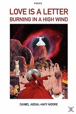 Love is a Letter Burning in a High Wind / Poems