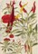 Chili Peppers & Shiso Leaves Blank Hardcover Journal