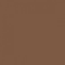 Spalvotas popierius 80g A4/100l rudas