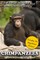 Chimpanzees