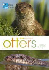 RSPB Spotlight: Otters