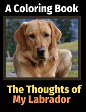 The Thoughts of My Labrador