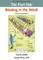 The Fart Side - Blowing in the Wind! Pocket Rocket Edition