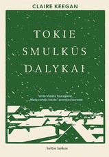 TOKIE SMULKŪS DALYKAI